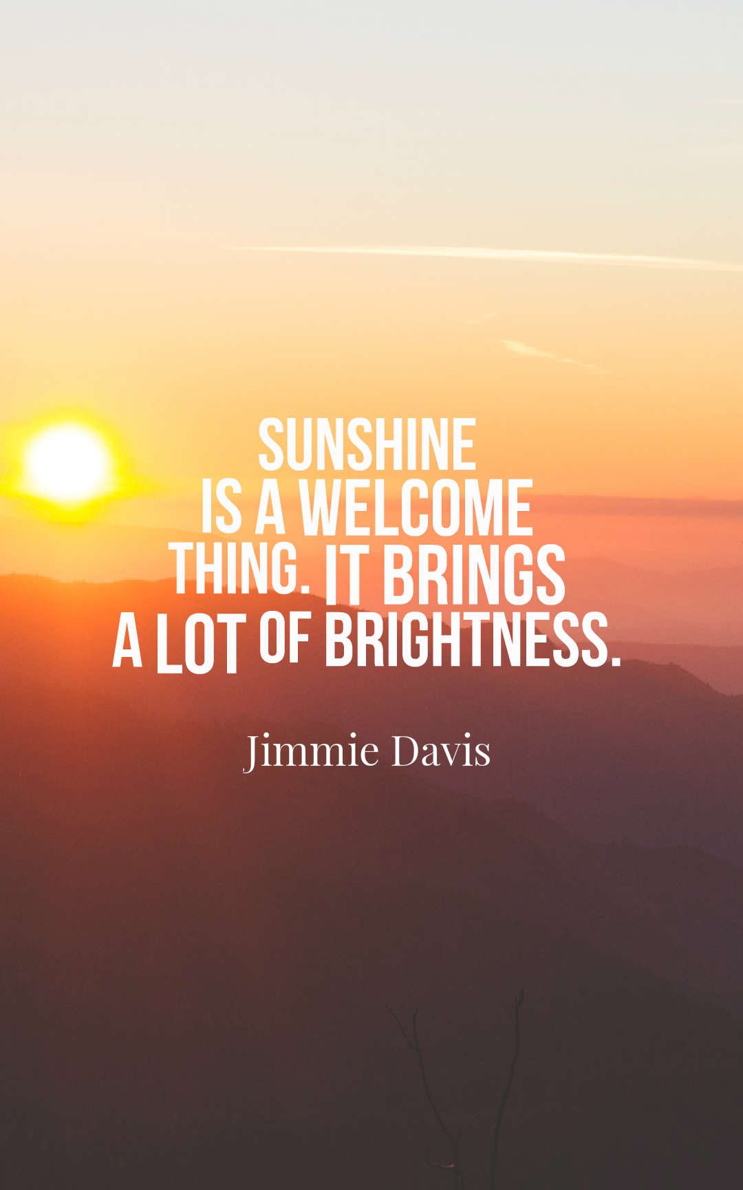 Sunshine is a welcome thing. It brings a lot of brightness.
