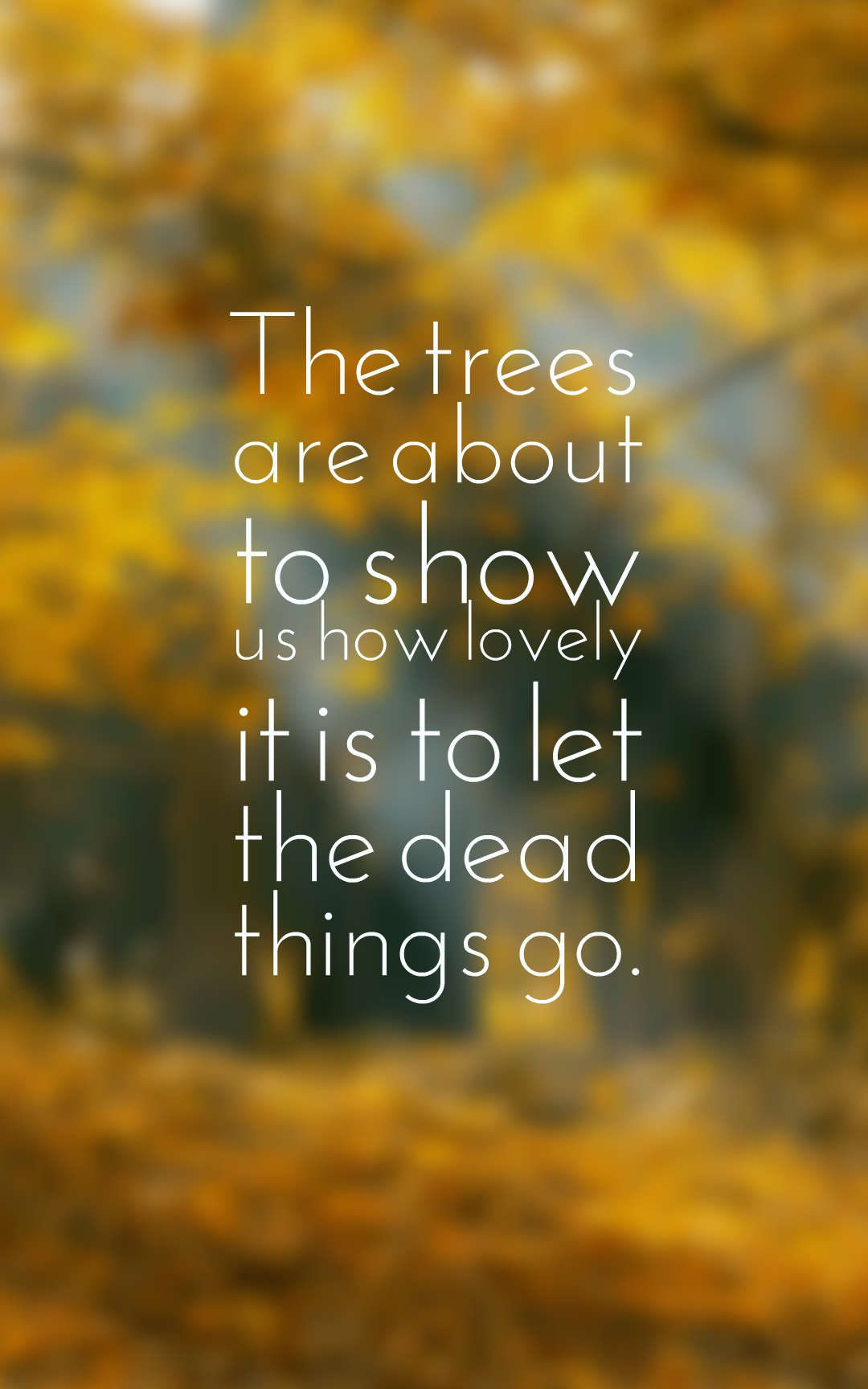 The trees are about to show us how lovely it is to let the dead things go.