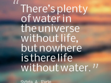 There’s plenty of water in the universe without life, but nowhere is there life without water.