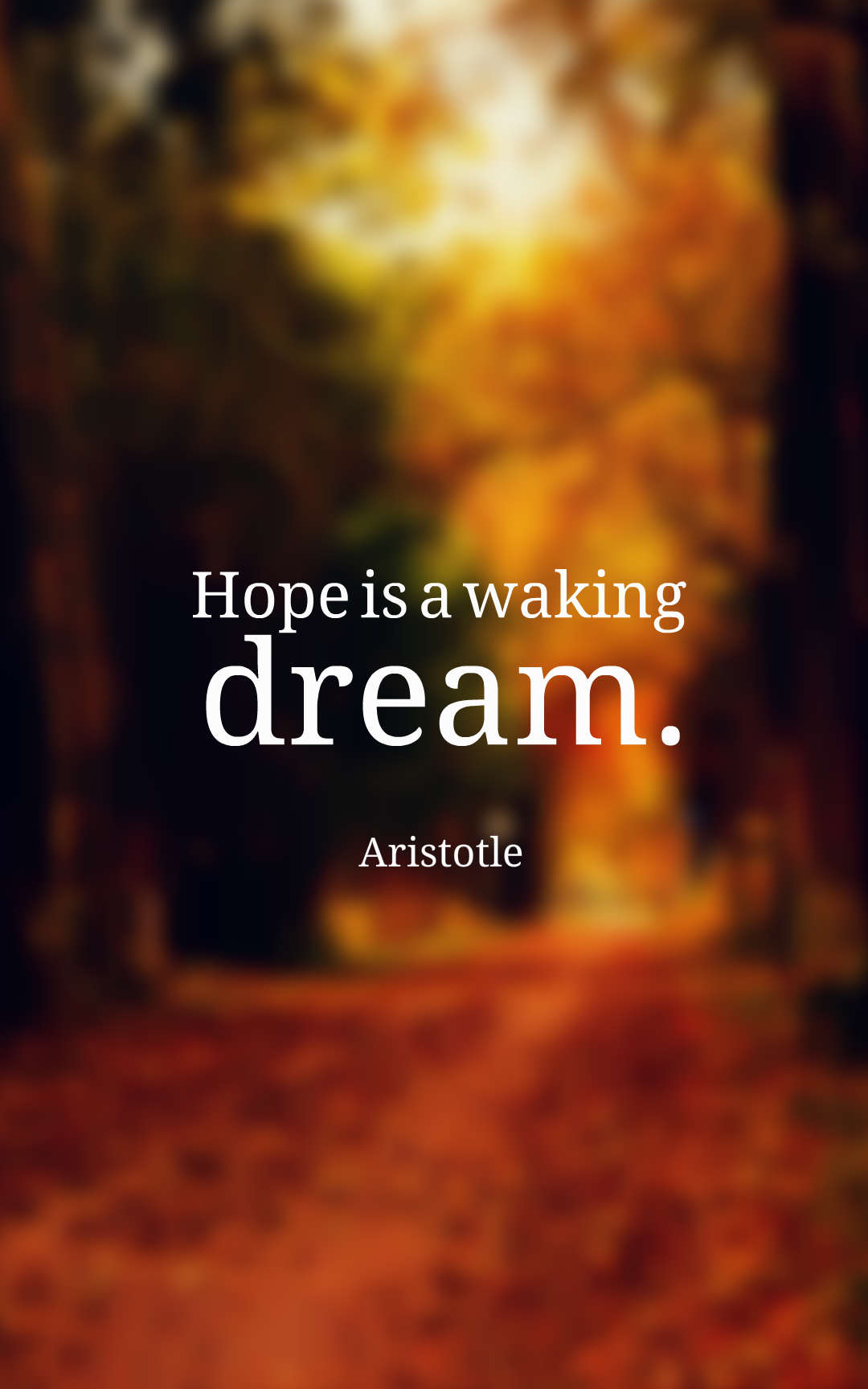 Hope is a waking dream.