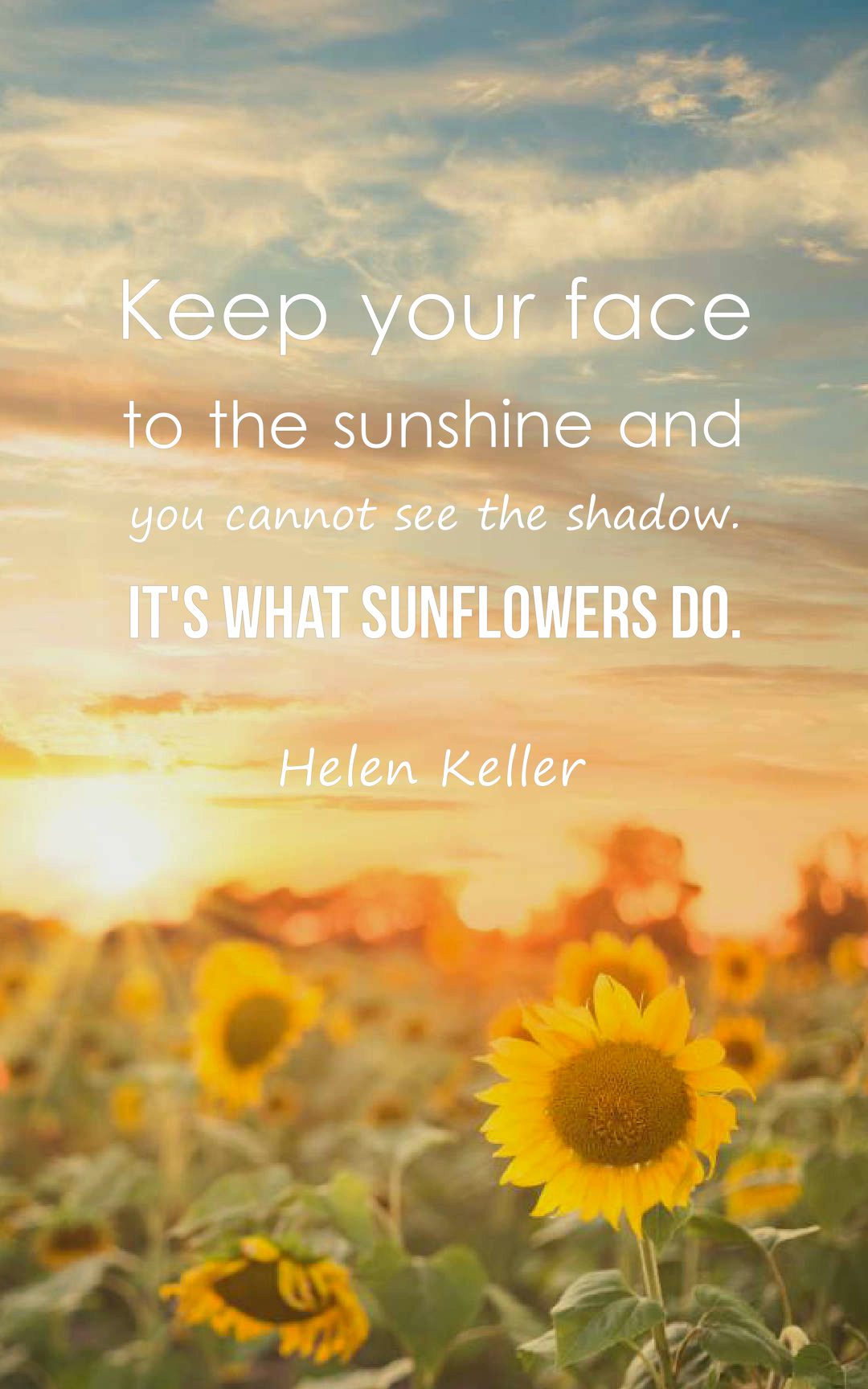Beautiful Sunflower Quotes