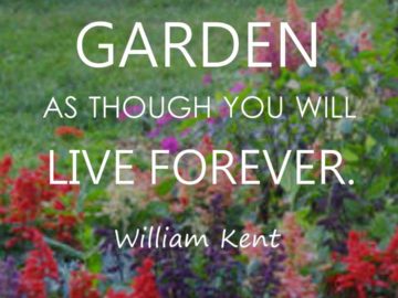 Garden as though you will live forever.