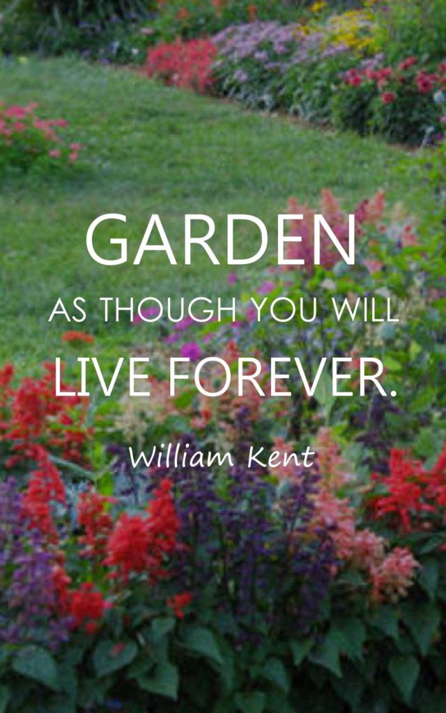 top-50-gardening-quotes-and-sayings-with-images