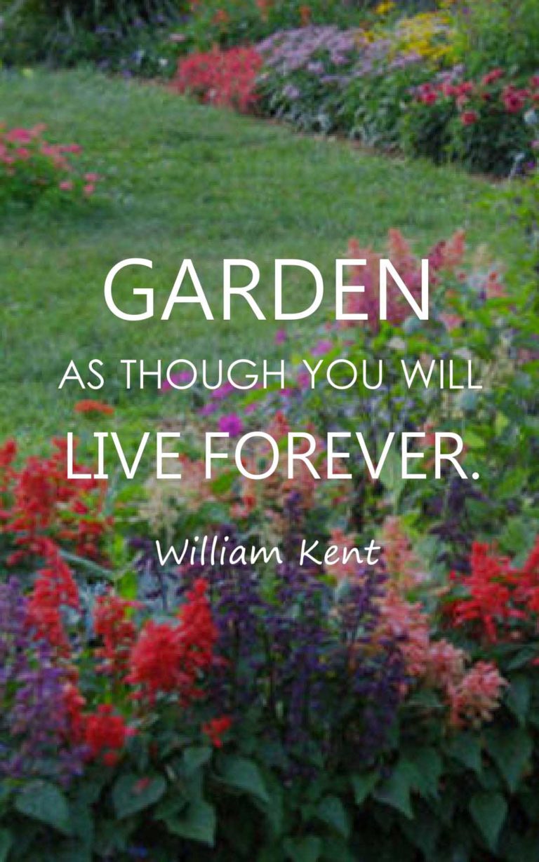 Garden as though you will live forever.