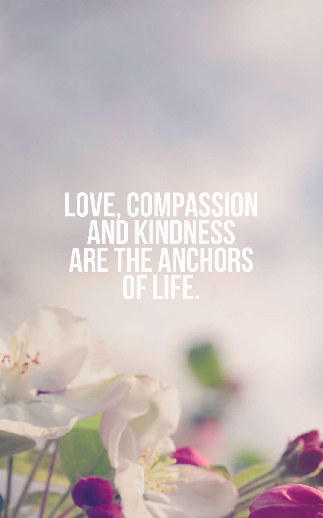 Love, compassion and kindness are the anchors of life.