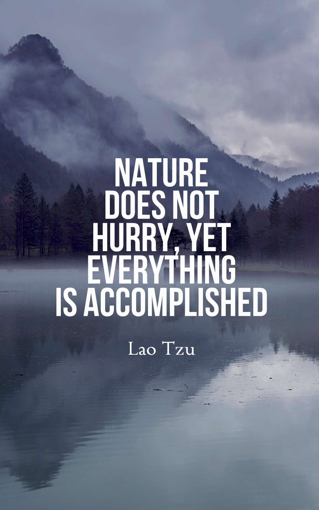 Nature does not hurry, yet everything is accomplished