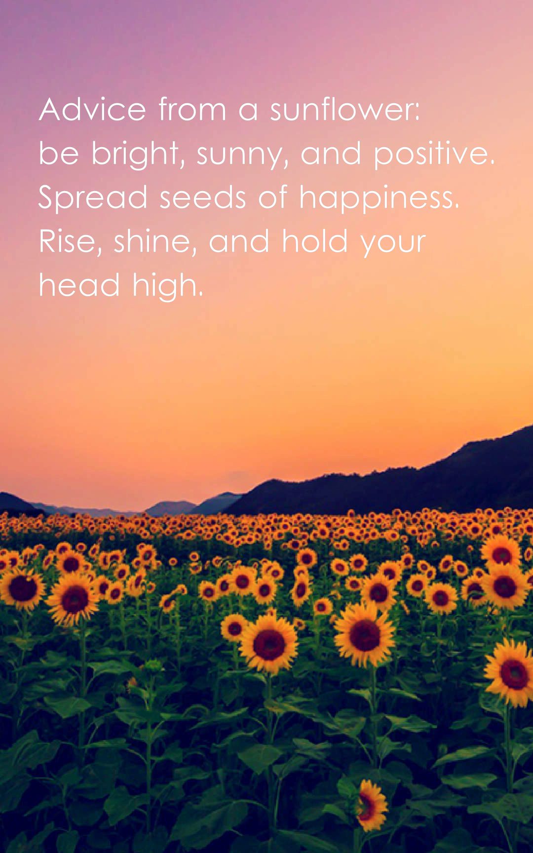 Sunflower Quotes