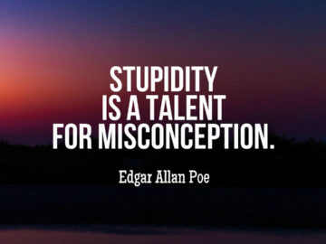 Stupidity is a talent for misconception.