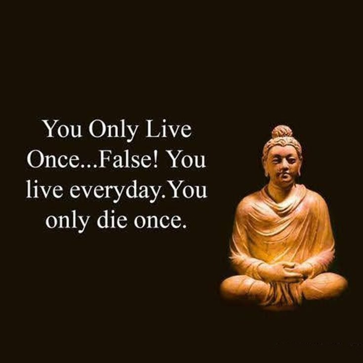 100 Inspirational Buddha Quotes And Sayings