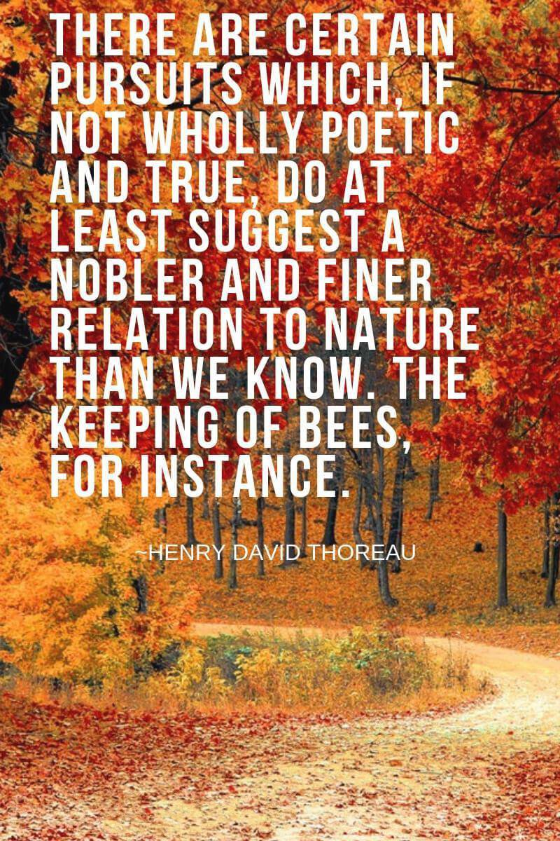 More Thoreau Quotes about Nature