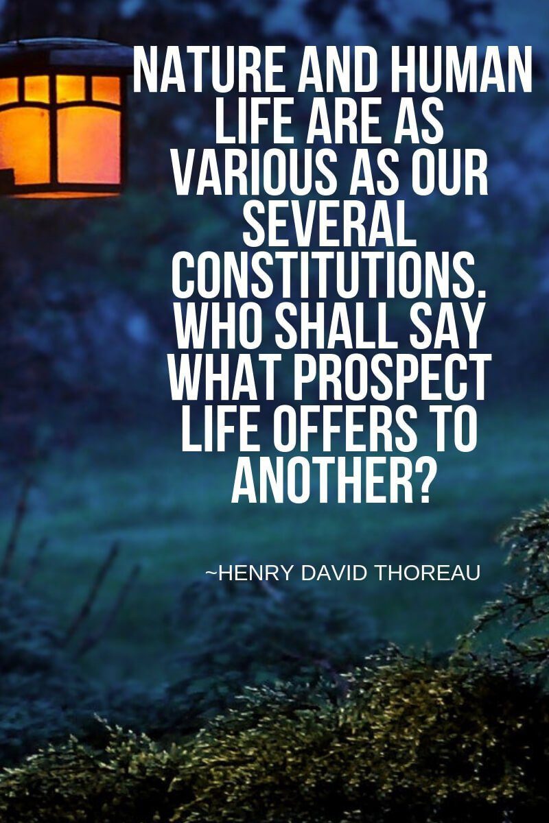 10+ Henry David Thoreau Quotes About Nature