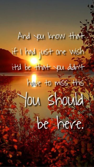 20+ Miss You Quotes