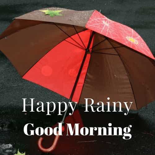 30 Perfect Good Morning Wishes For A Rainy Day Best Images