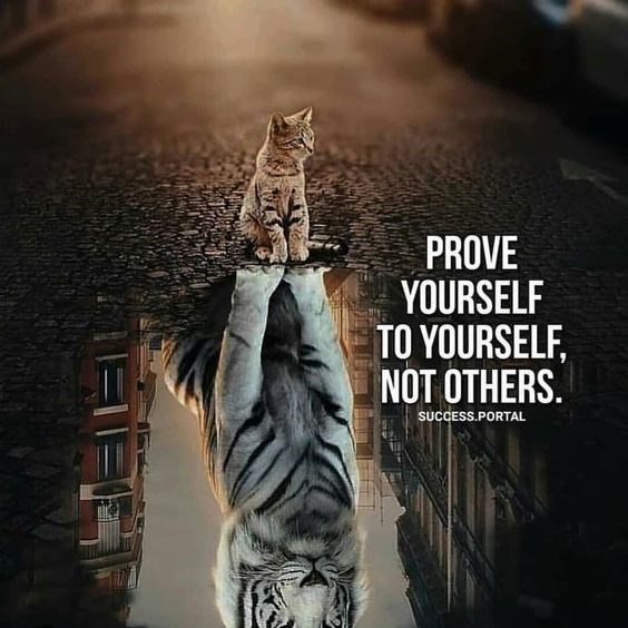 10+ Motivational Quotes Brought To You By Big And Powerful Cats