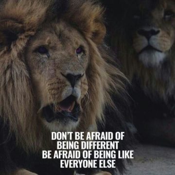 10+ Motivational Quotes Brought To You By Big And Powerful Cats