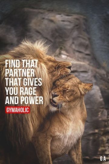 10+ Motivational Quotes Brought To You By Big And Powerful Cats