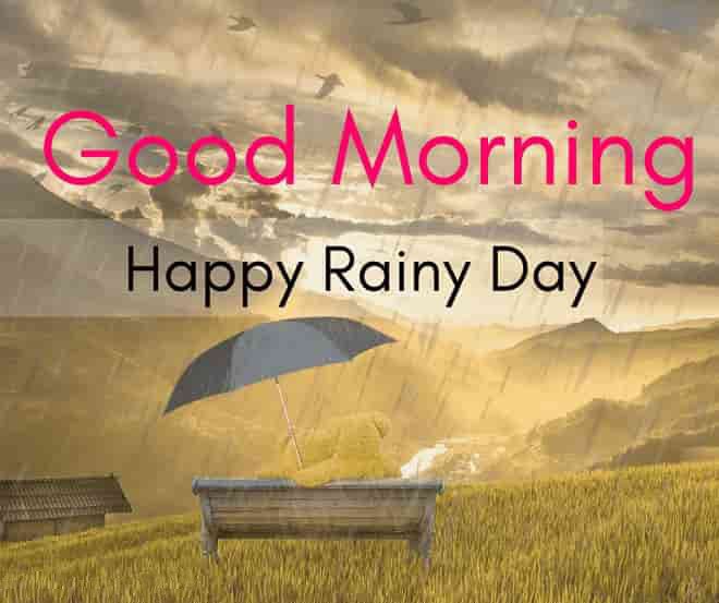 30 Perfect Good Morning Wishes For A Rainy Day Best Images