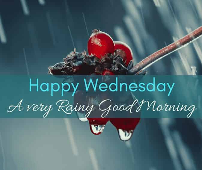 30 Perfect Good Morning Wishes For A Rainy Day Best Images