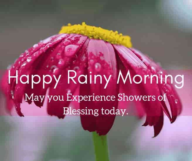 30 Perfect Good Morning Wishes For A Rainy Day Best Images
