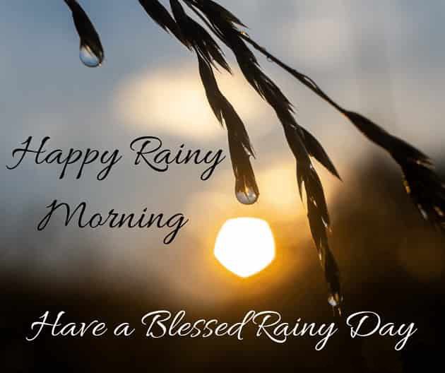 30 Perfect Good Morning Wishes For A Rainy Day Best Images