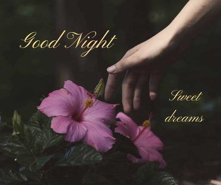 good night quotes, sweet dream sayings, good night sweet dreams, good night quotes for her, good night quotes and images, inspirational good night quotes, good night quotes for friends, beautiful good night images for friends, goodnight greetings, good night messages, morning greetings, good night wishes for friends,