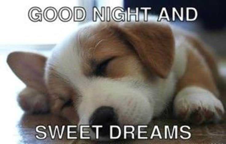 good night quotes, sweet dream sayings, good night sweet dreams, good night quotes for her, good night quotes and images, inspirational good night quotes, good night quotes for friends, beautiful good night images for friends, goodnight greetings, good night messages, morning greetings, good night wishes for friends,