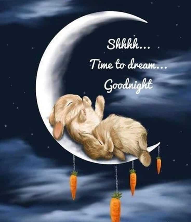 good night quotes, sweet dream sayings, good night sweet dreams, good night quotes for her, good night quotes and images, inspirational good night quotes, good night quotes for friends, beautiful good night images for friends, goodnight greetings, good night messages, morning greetings, good night wishes for friends,