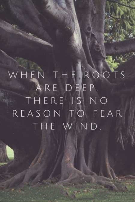 motivational quotes, motivational quotes for work, funny motivational quotes, motivational quotes for athletes, motivational quotes for students, motivational quotes for kids, motivational quotes of the day, motivational quotes images, super motivational quotes, short inspirational quotes, inspirational quotes about love, short quote of the day, quote for today, inspirational quotes about life and struggles,