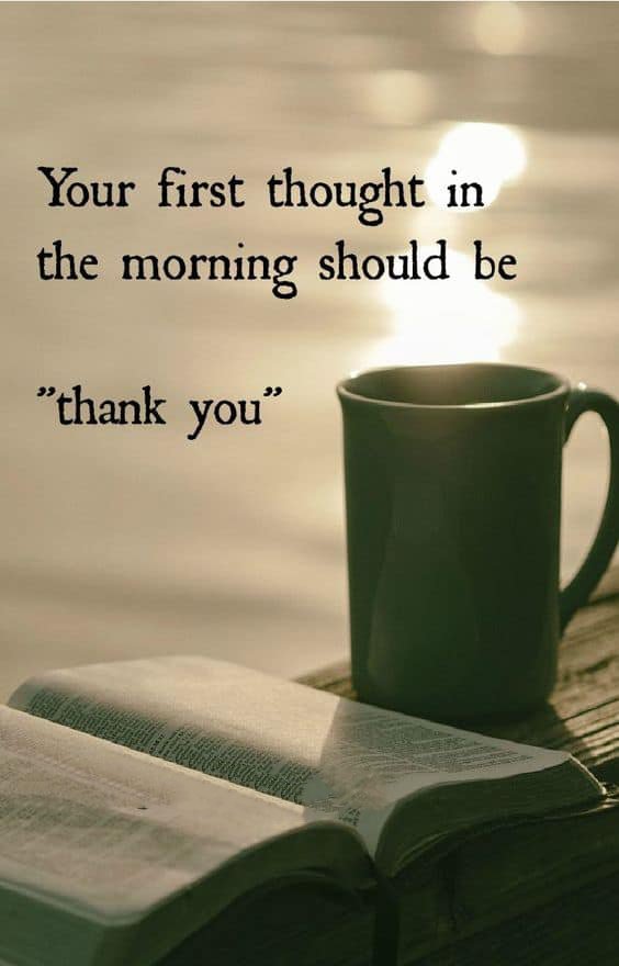 Gratitude Quotes, love and gratitude quotes, thankful and grateful quotes, gratitude quotes for kids, gratitude quotes images, gratitude quotes for friends, gratitude quotes for teachers,