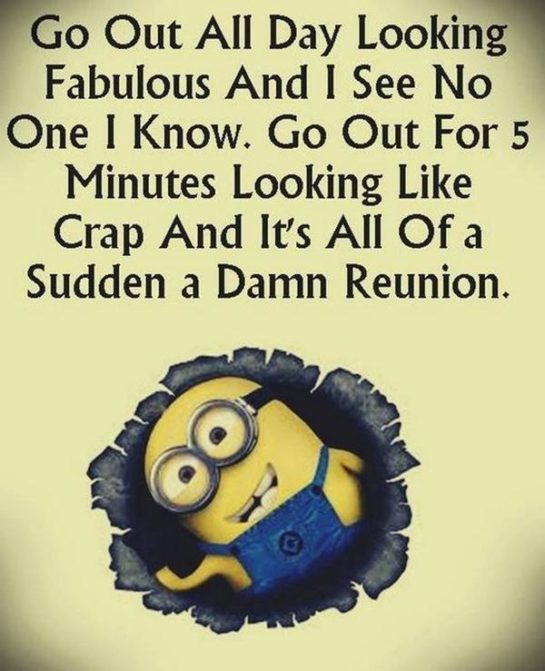 40 of The Best Minion Memes and Sayings That will Instantly Make You ...