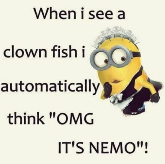 40 of The Best Minion Memes and Sayings That will Instantly Make You ...