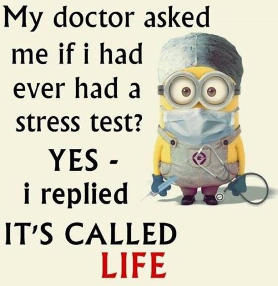 40 of The Best Minion Memes and Sayings That will Instantly Make You ...