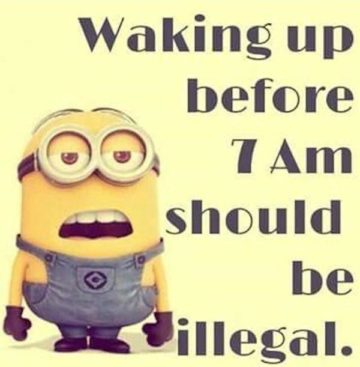 40 of The Best Minion Memes and Sayings That will Instantly Make You ...