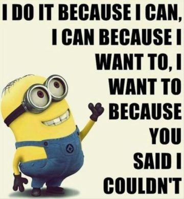 40 of The Best Minion Memes and Sayings That will Instantly Make You ...