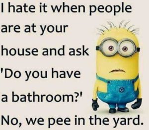 Top 97+ Funny Minions quotes and sayings