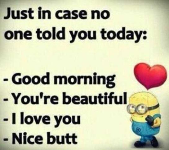 Top 97+ Funny Minions quotes and sayings