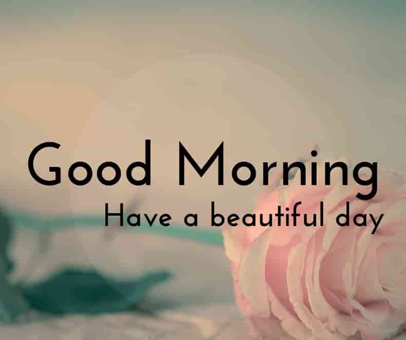 100+ Beautiful Good Morning Images [ Best Collection ]