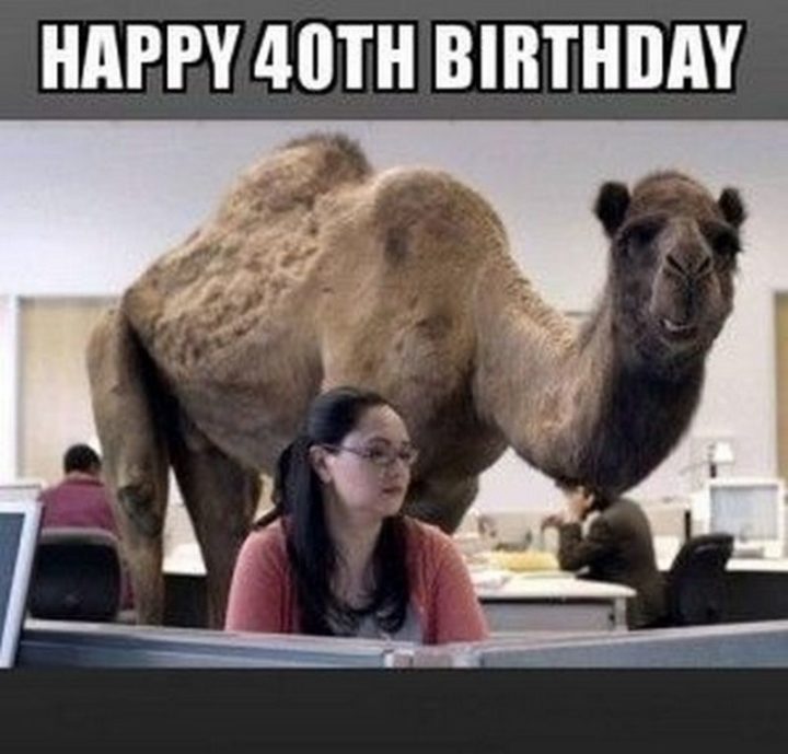 100 Funny 40th Birthday Memes To Take The Dread Out Of Turning 40 7488