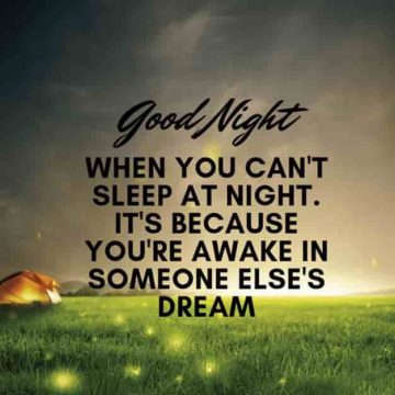 12+ Best Good Night Quotes, Messages, Sayings, And Beautiful Images