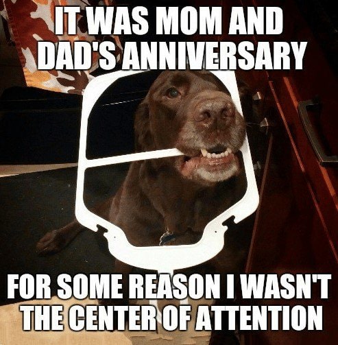 FUNNY ANNIVERSARY MEMES, GIF’S AND IMAGES