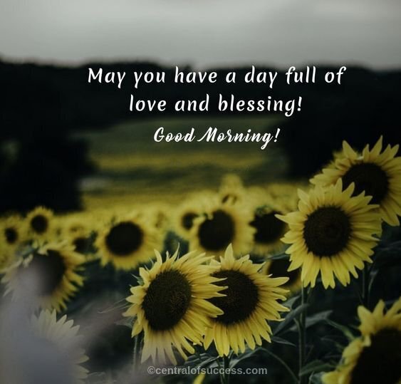 100+ BLESSED MORNING QUOTES AND WISHES WITH IMAGES
