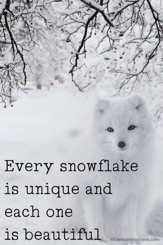 100+ AMAZING SNOWFLAKES QUOTES ABOUT BEING UNIQUE