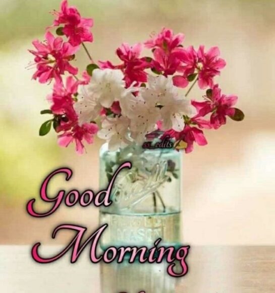 Amazing Good Morning Wishes with Flowers